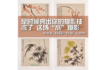 6686官方网站